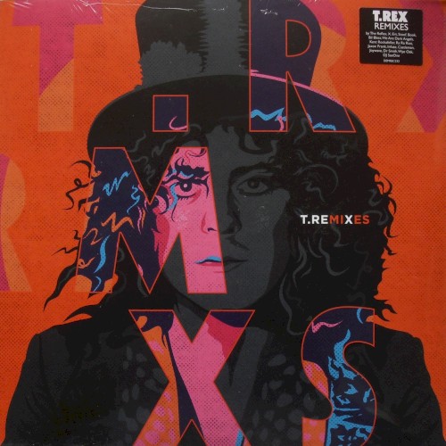 Portada del álbum Remixes de T. Rex