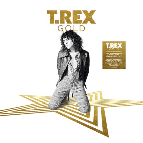 Pochette de Gold par T. Rex (album)
