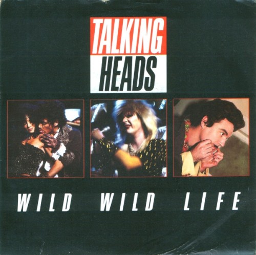 Wild Wild Life by Talking Heads single cover art