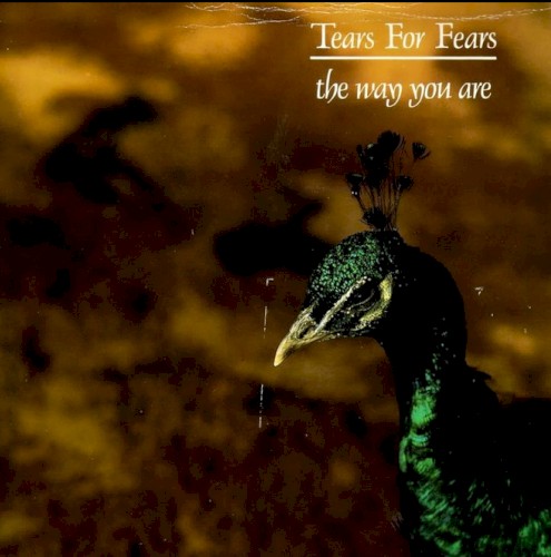 Tears for Fears 的 The Way You Are 单曲封面