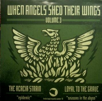 When Angels Shed Their Wings Volume 3 by The Acacia Strain single cover art