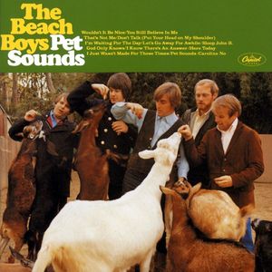 the-beach-boys_11th_album