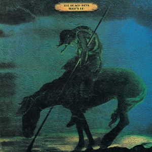 the-beach-boys_17th_album
