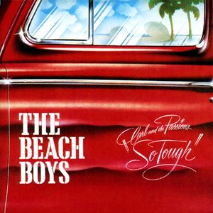 the-beach-boys_18th_album