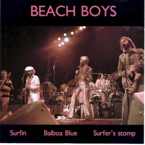 Cover-Artwork für das Album Beach Boys von The Beach Boys
