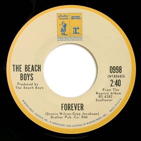 The Beach Boys 的 Cool, Cool Water 单曲封面