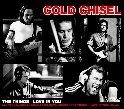 The Chisel 的 The Things I Love in You 單曲 封面