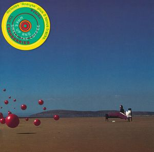 the-cranberries_5th_album