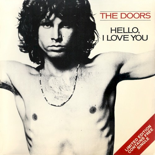 The Doors 的 Hello, I Love You 单曲封面