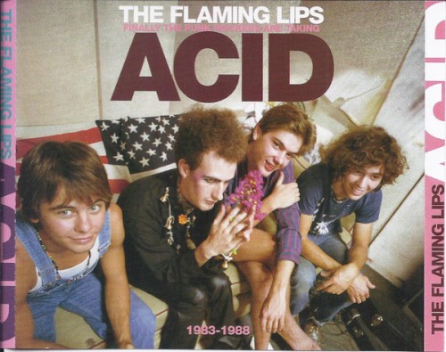The Flaming Lips 的 Finally the Punk Rockers Are Taking Acid: 1983-1988 专辑封面
