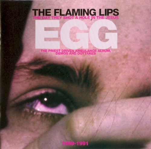 The Day They Shot a Hole in the Jesus Egg by The Flaming Lips album cover art