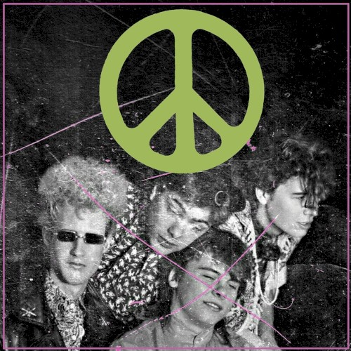 Scratching the Door: The First Recordings of the Flaming Lips by The Flaming Lips album cover art