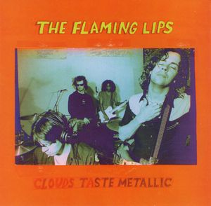 the-flaming-lips_7th_album