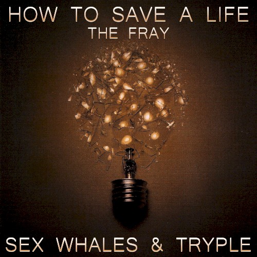 Cover-Artwork für die Single How to Save a Life (Sex Whales & Tryple remix) von The Fray