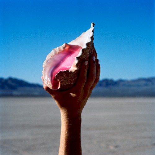 Some Kind of Love by The Killers single cover art