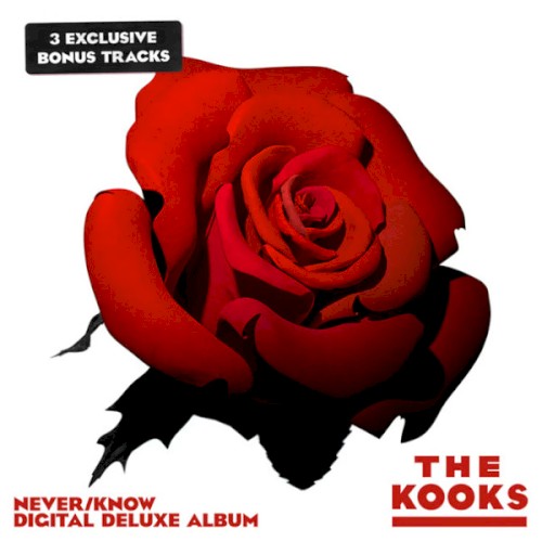 the-kooks_13th_album