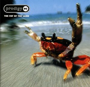 the-prodigy_3rd_album