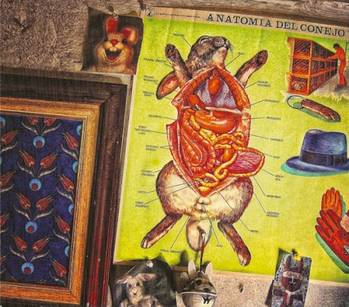 The Residents 的 Postcards From Patmos 專輯 封面