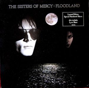 the-sisters-of-mercy_2nd_album