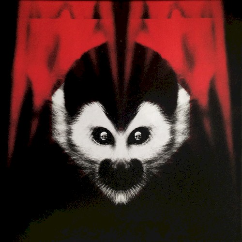 The White Stripes 的 Under Amazonian Lights 专辑封面