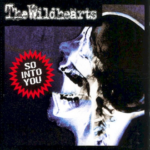 the-wildhearts_so-into-you_single