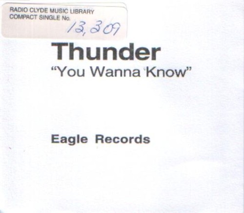 Cover-Artwork für die Single You Wanna Know von Thunder