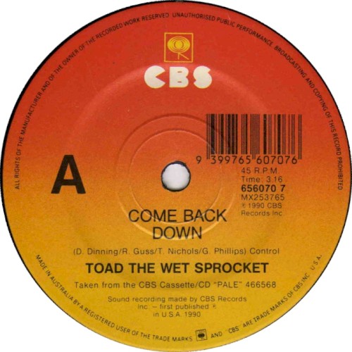 Come Back Down by Toad the Wet Sprocket single cover art