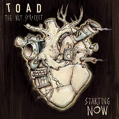 Cover-Artwork für die Single Starting Now von Toad the Wet Sprocket