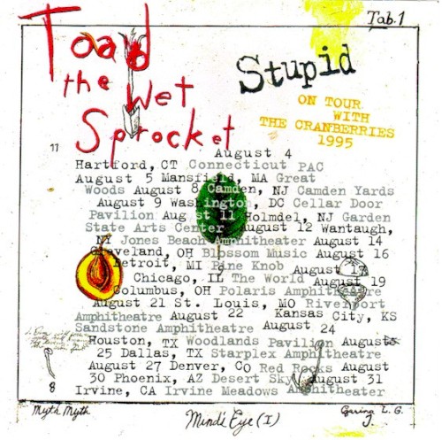 Stupid by Toad the Wet Sprocket single cover art