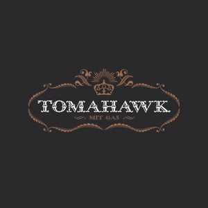 tomahawk_2nd_album