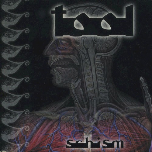 Schism by Tool single cover art