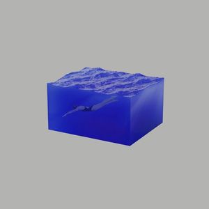 tw-accusefive_1st_album