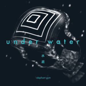 tw-elephant-gym_2nd_album