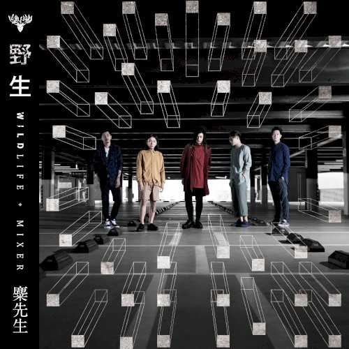 MIXER 的 野生 专辑封面