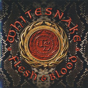 whitesnake_13th_album