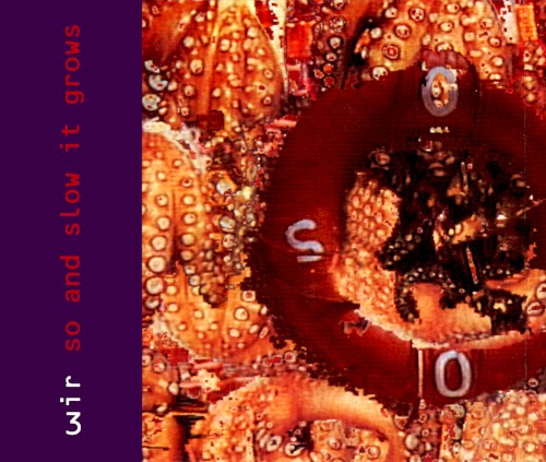 So and Slow It Grows by Wire single cover art