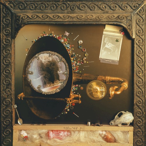 Nature’s Pill by Wishy album cover art