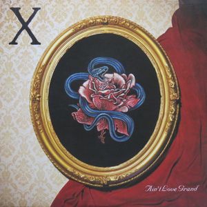 x_5th_album