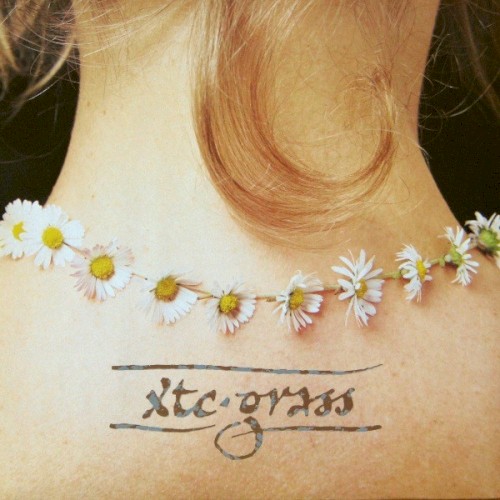 Cover-Artwork für die Single Grass von XTC