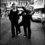 The most funny photo I think